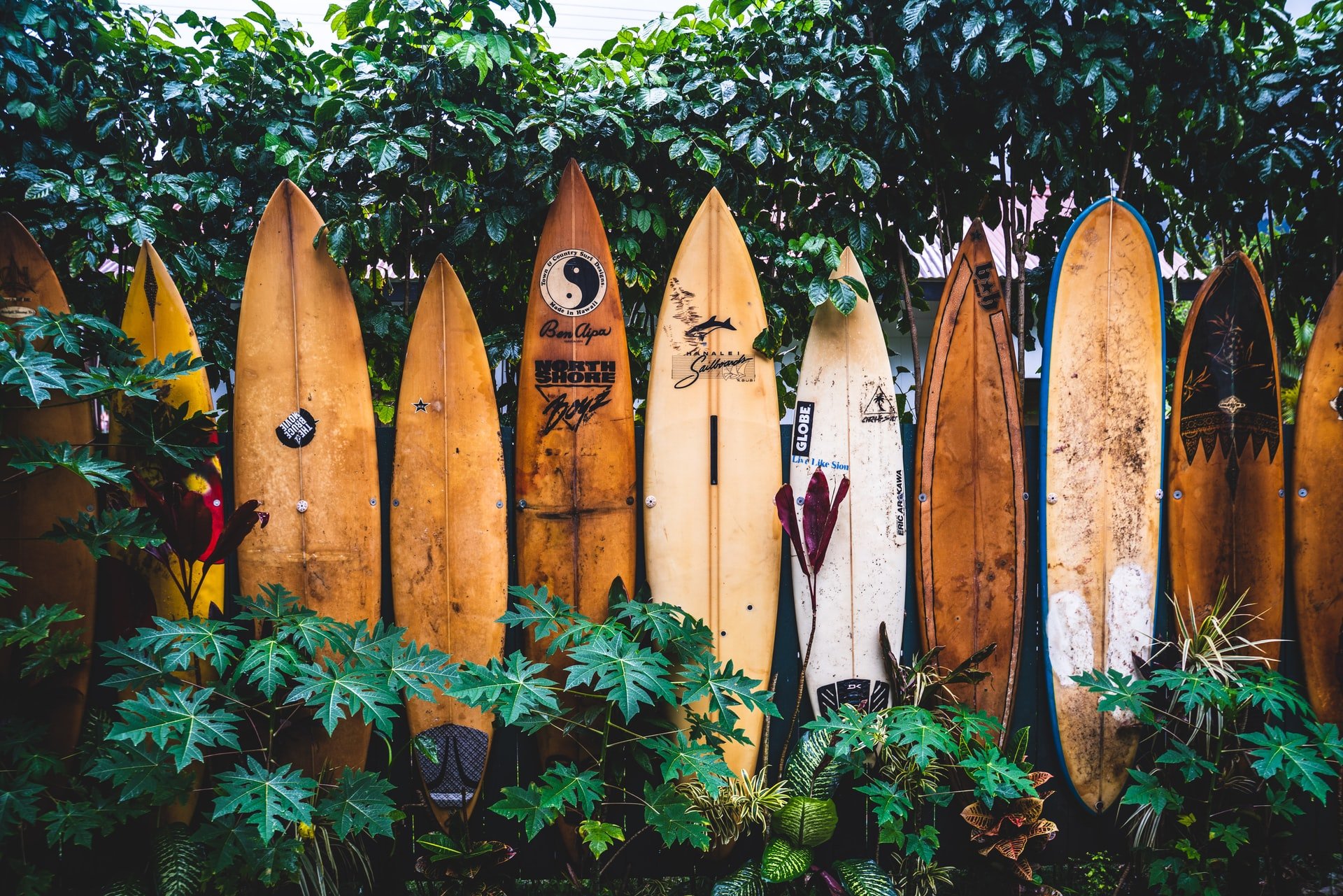 Visiting Hawaii on a Budget 1 pic10 11